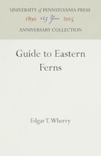 Guide to Eastern Ferns