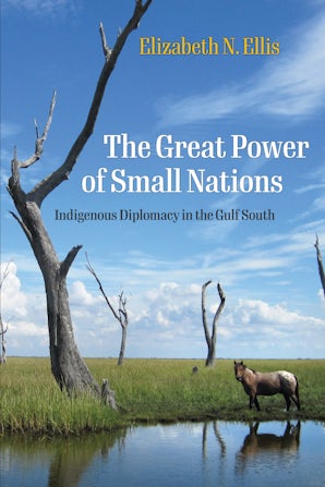 The Great Power of Small Nations