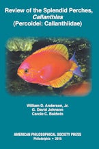 Review of the Splendid Perches, Callanthias (Percoidei: Callanthiidae)